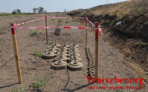 ANAMA: