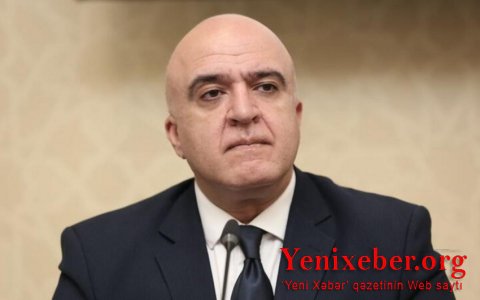 В правоохранительные органы передано 124 дела о незаконной вырубке деревьев