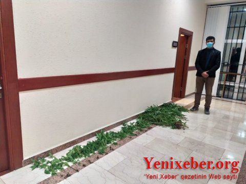 -narkotik becərən şəxs saxlanıldı