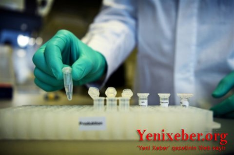 Almaniyada 202 yoluxma aşkarlandı-