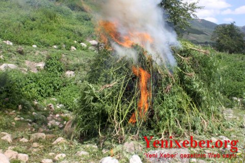BİR TONDAN ÇOX  -