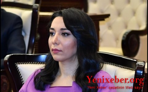 Ombudsman dünya ictimaiyyətinə müraciət etdi