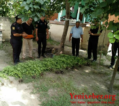 Ağdaşda  -