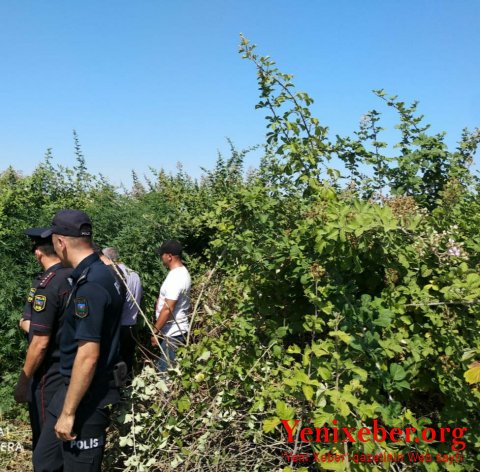 Ağdaşda -
