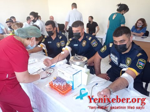Polis -