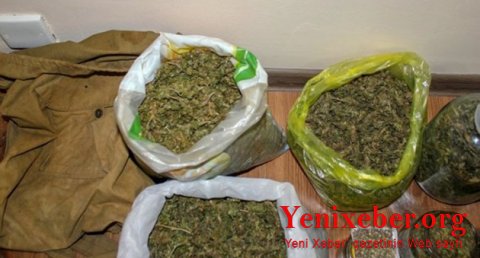 Polis  -