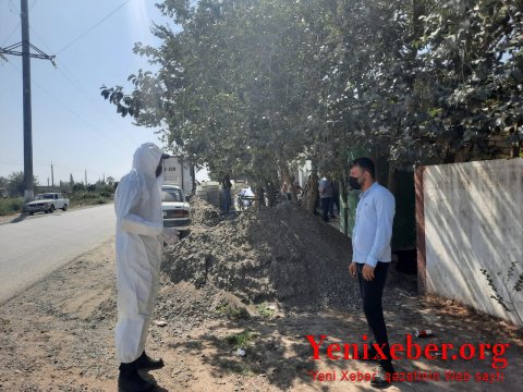 Saatlıda  -