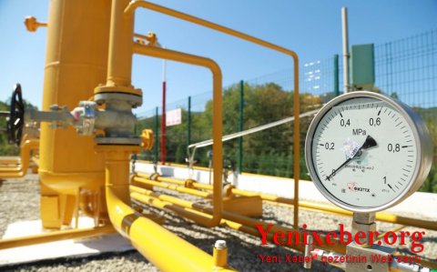 Qazın qiyməti 1 100 dolları keçib-