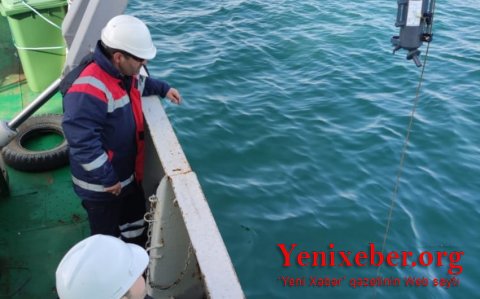 Xəzərdə kompleks ekoloji monitorinqlərə başlanılıb