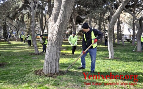 Bakıda ümumşəhər iməciliyi keçirilir