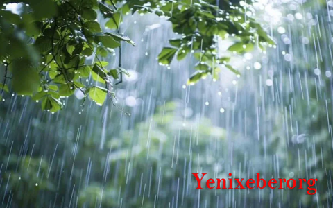 Rayonlara yağış yağacaq